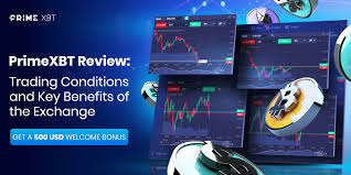 Comprehensive Review of the PrimeXBT Website Comprehensive Review of the PrimeXBT Website